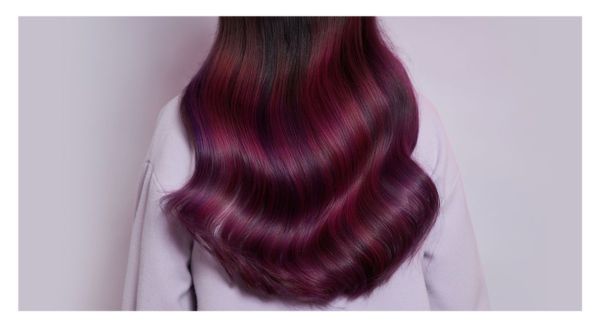 Tudo sobre o Blackberry Hair