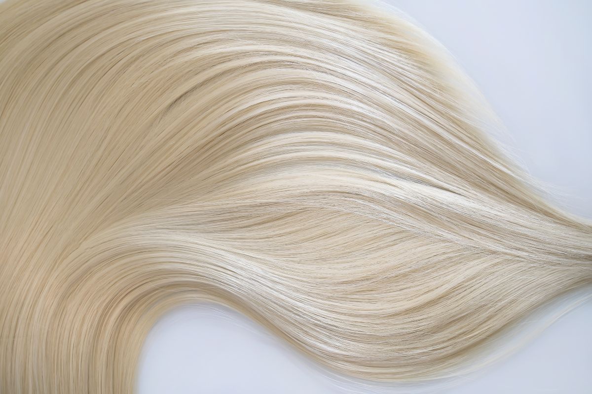 3 loiros perfeitos com nuances frias